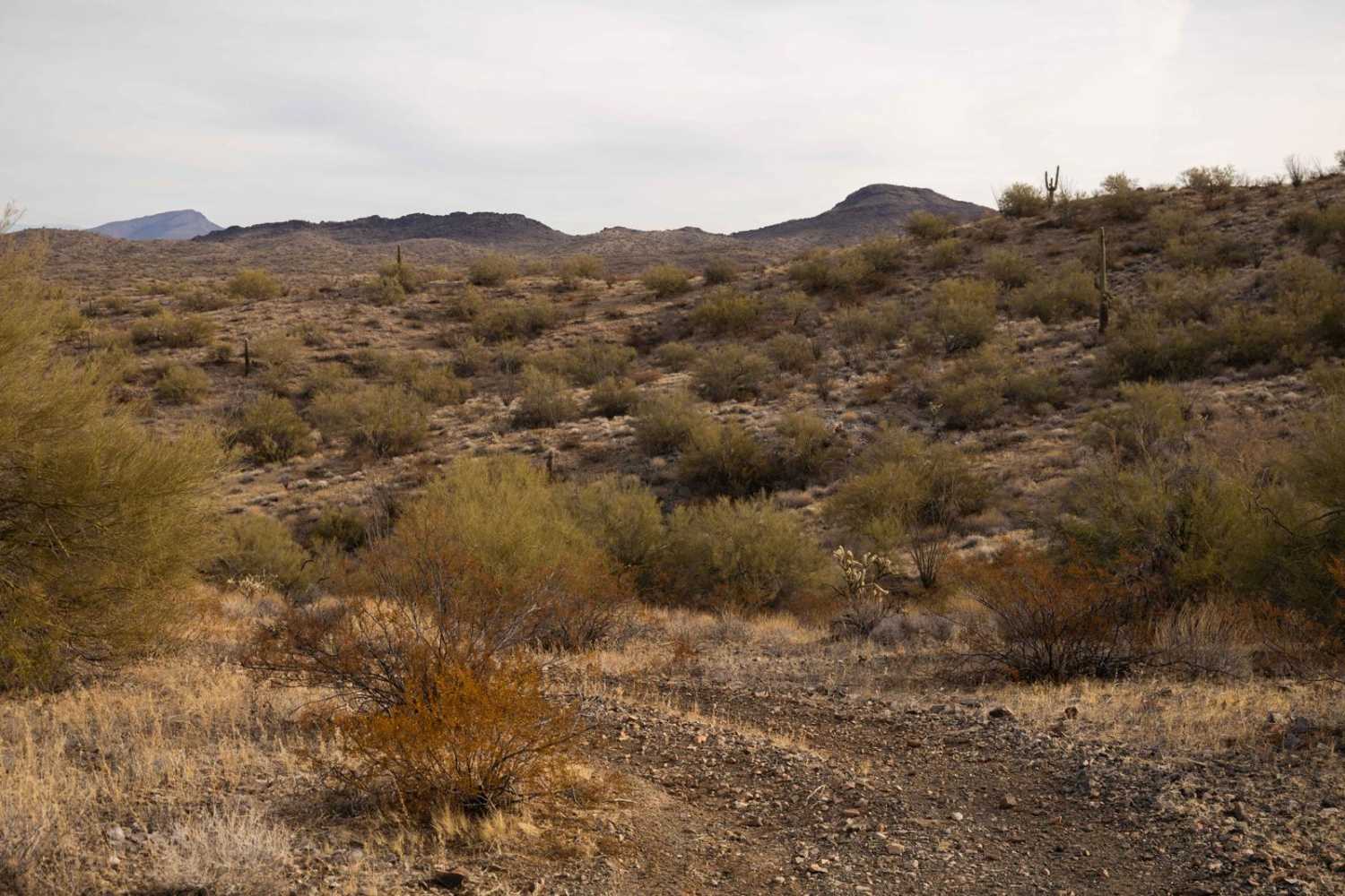 Hilltop to Blocked Canyon