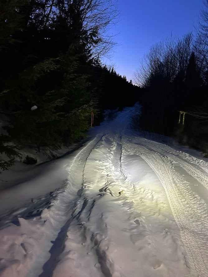 Beeswanger Trail