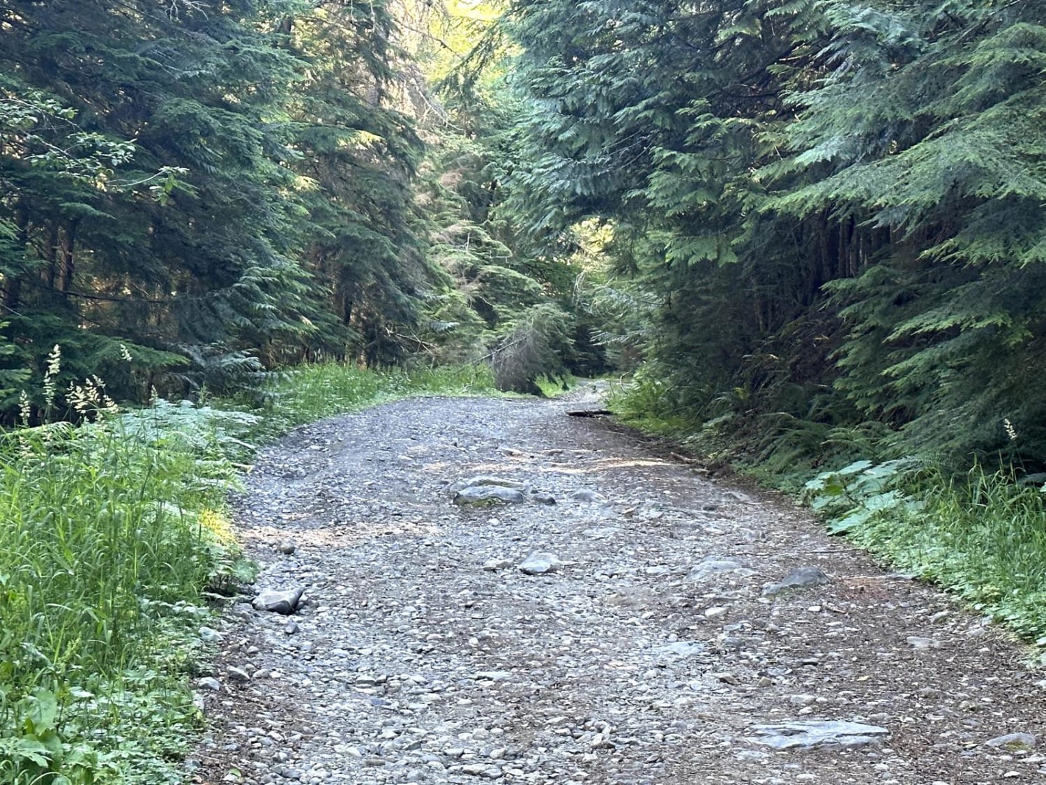 Horse Creek Trail