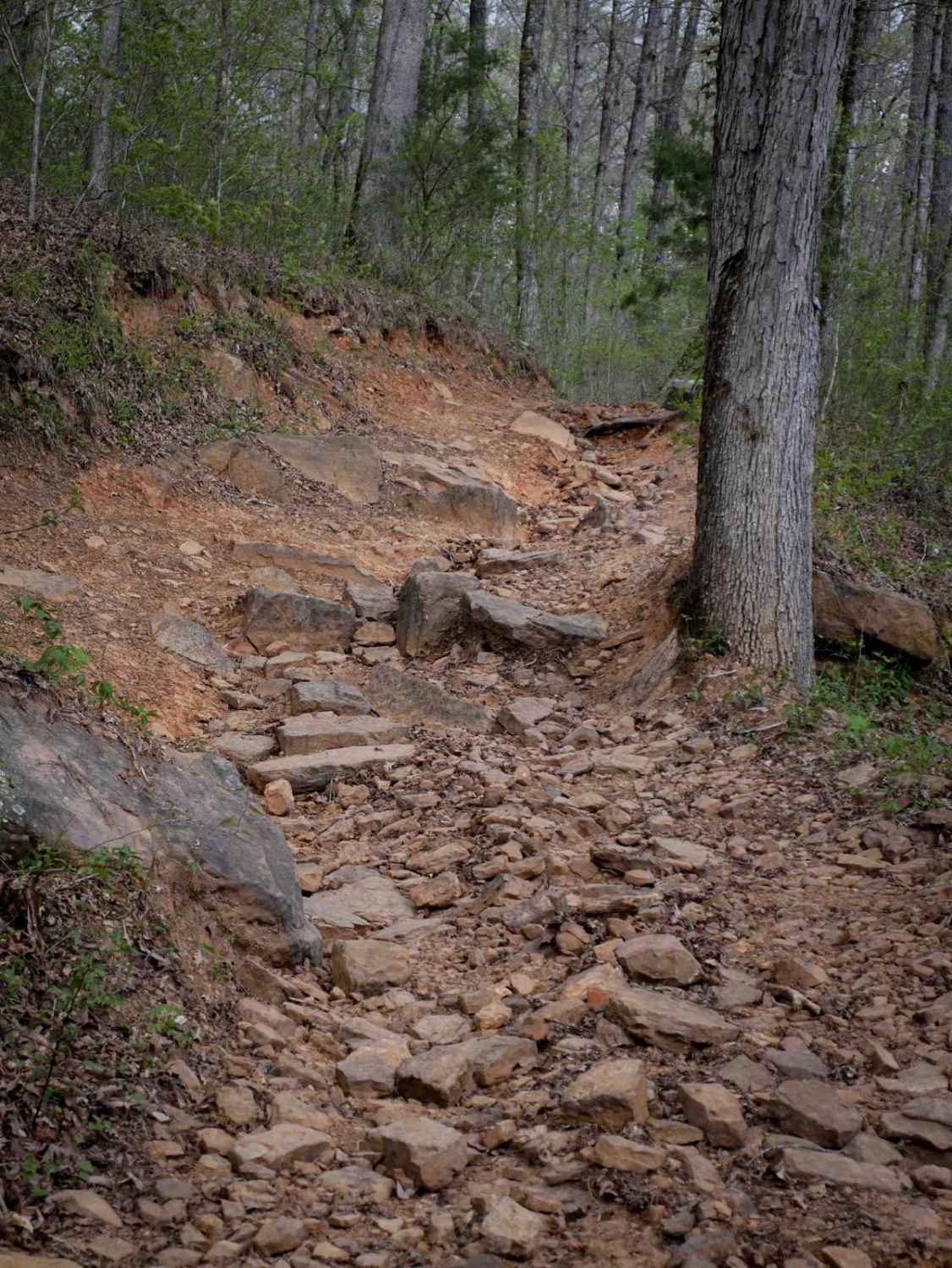 Gap Hollow Spur West