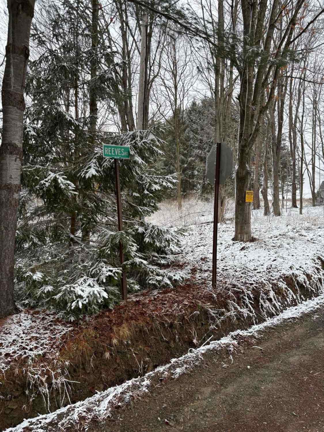 Reeves Road