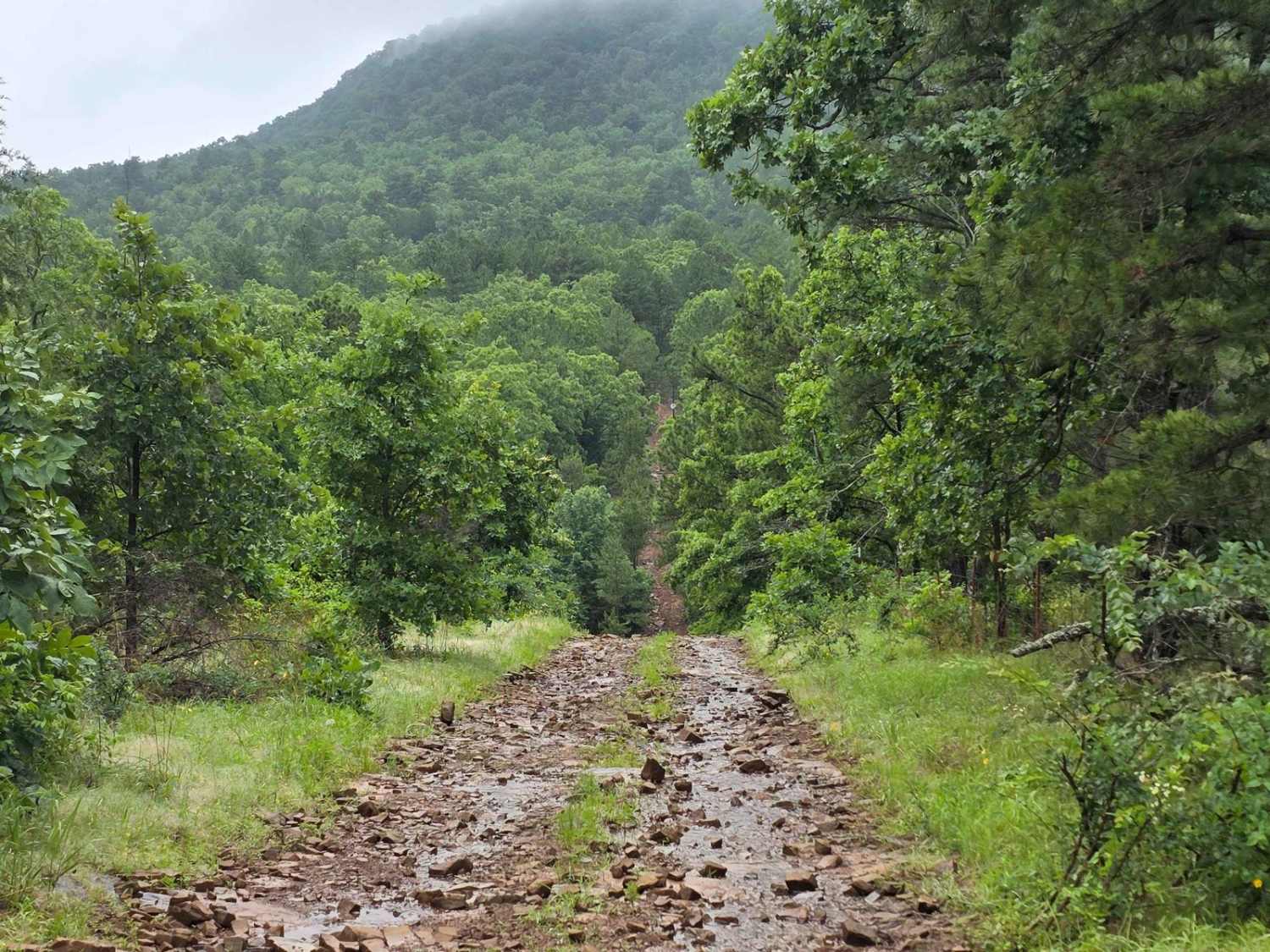 West Boundry Trail