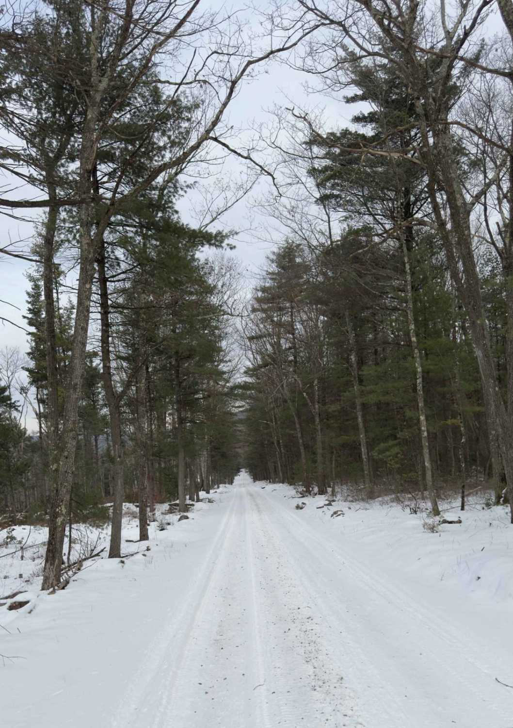 Buffalo Flat Road