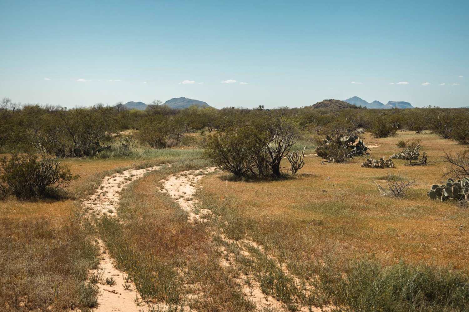 Date Creek Cutoff