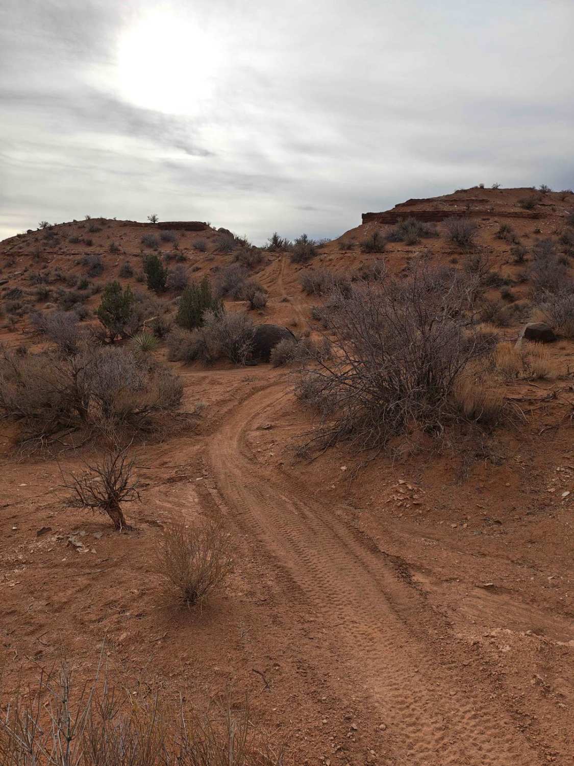 Lower Toquerville Alternate - Single Track