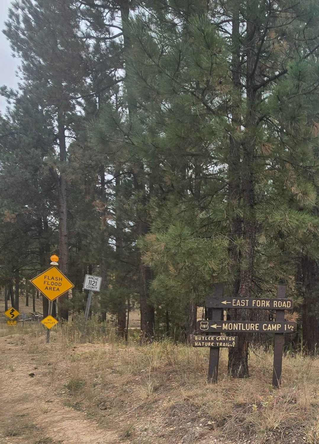 East Fork