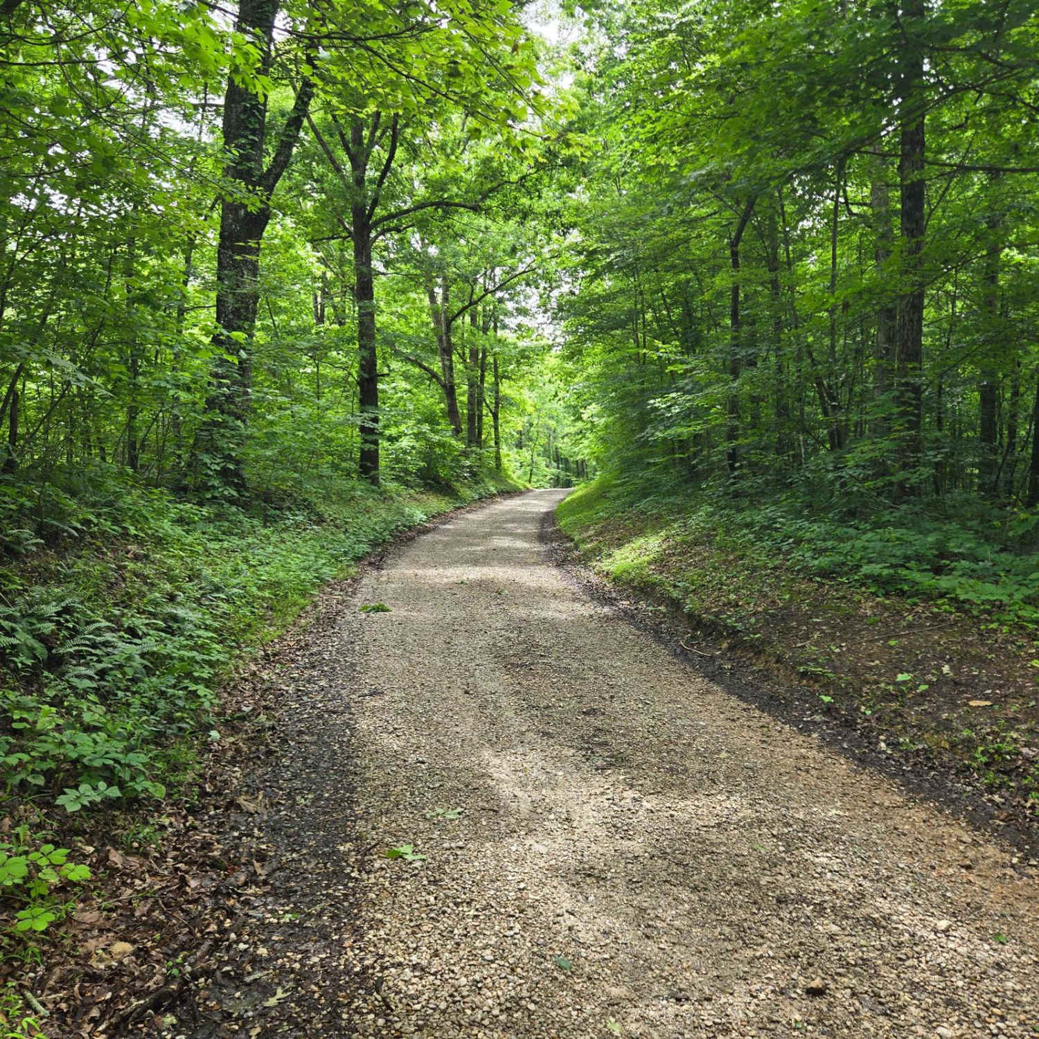 DBBB - Green Pond Ridge Road