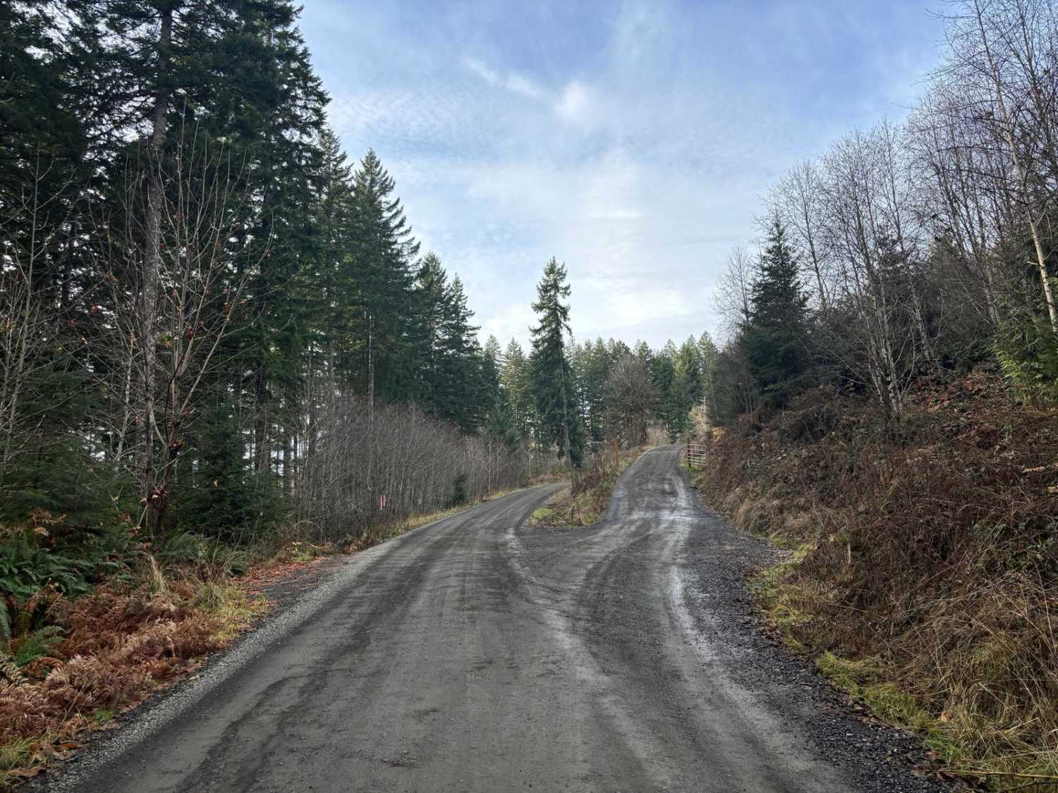 North Fork Wolf Creek Road