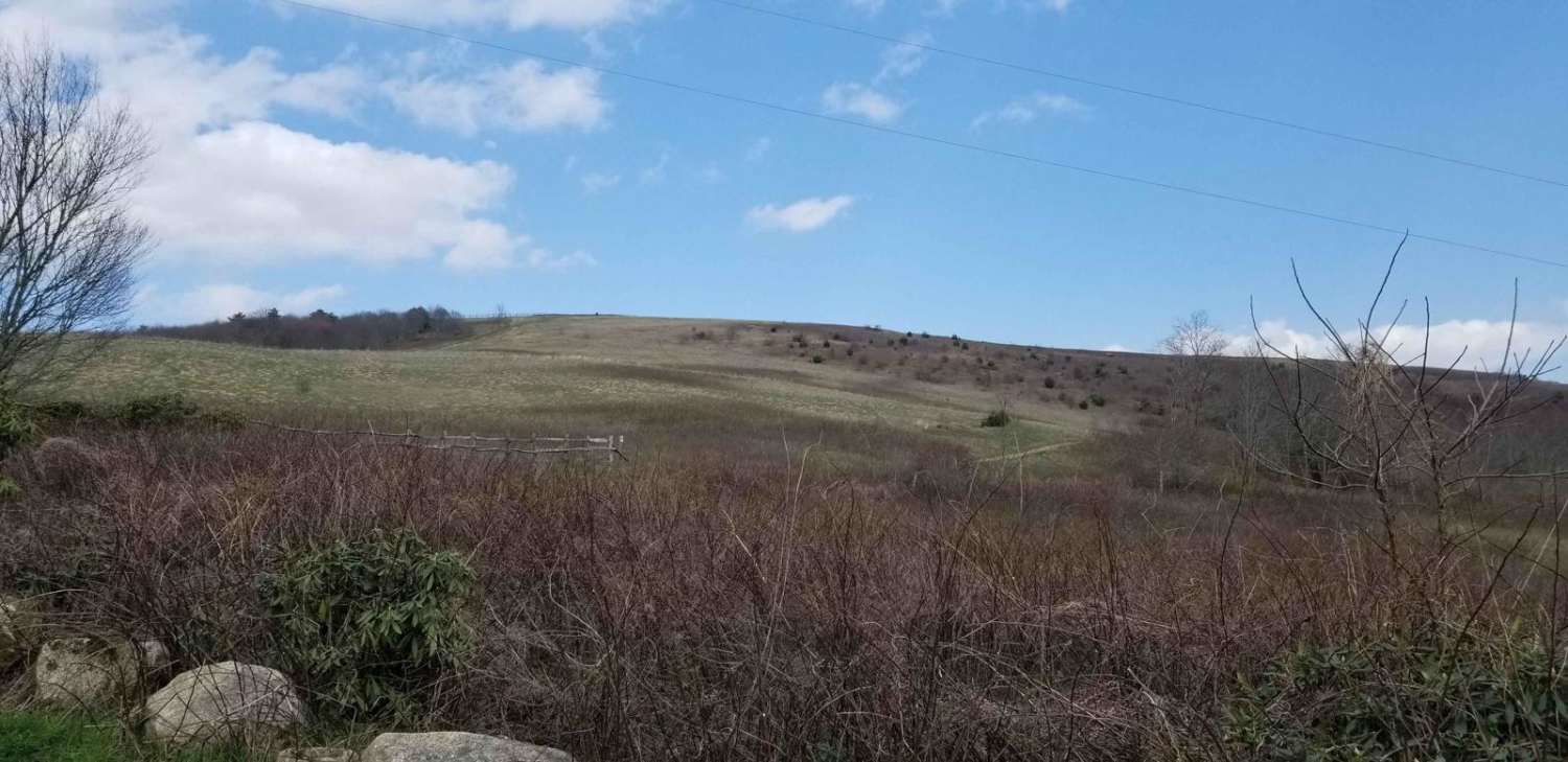 Max Patch Road