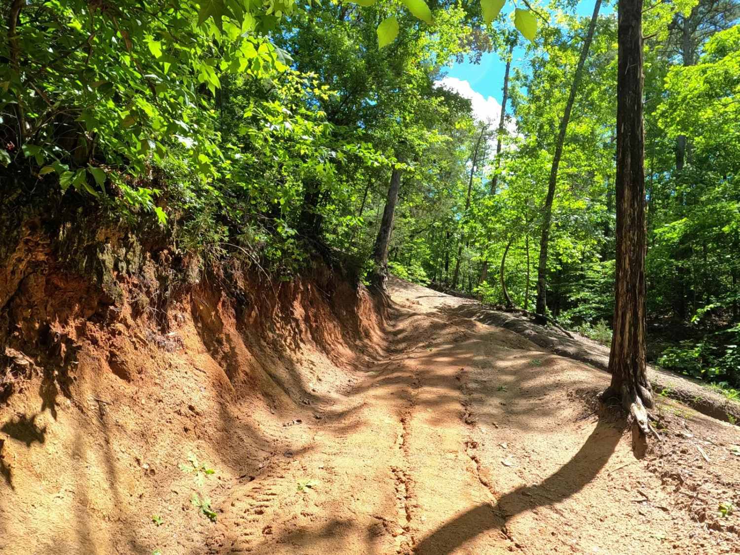 Papa Gulch Bypass