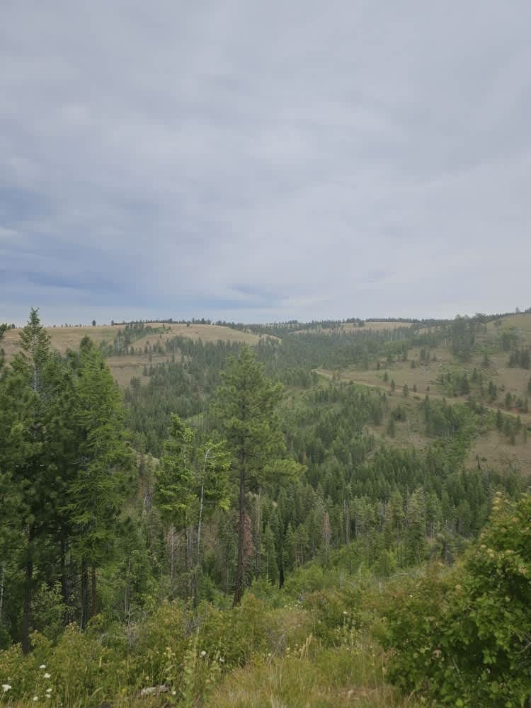 Stevens Ridge