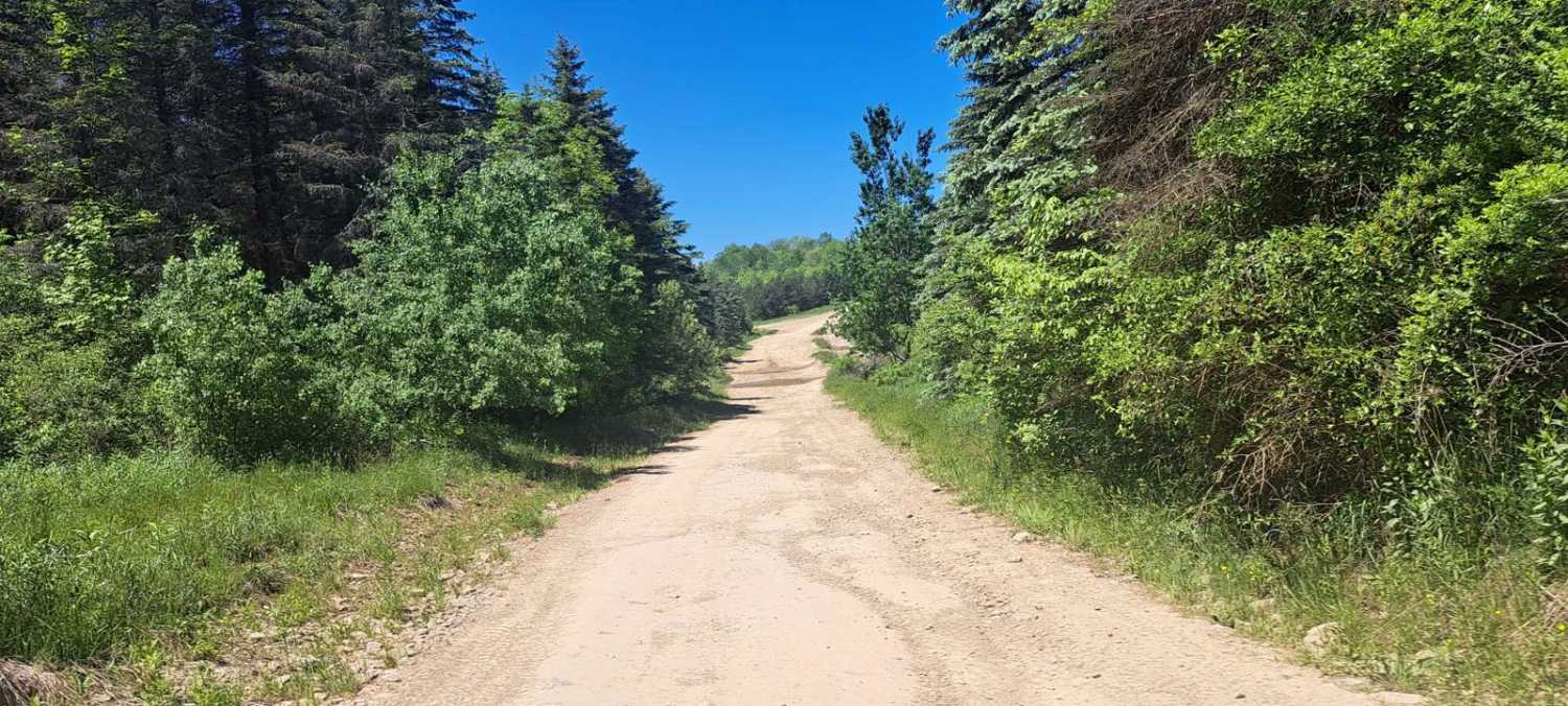 Uncle Bob's Path