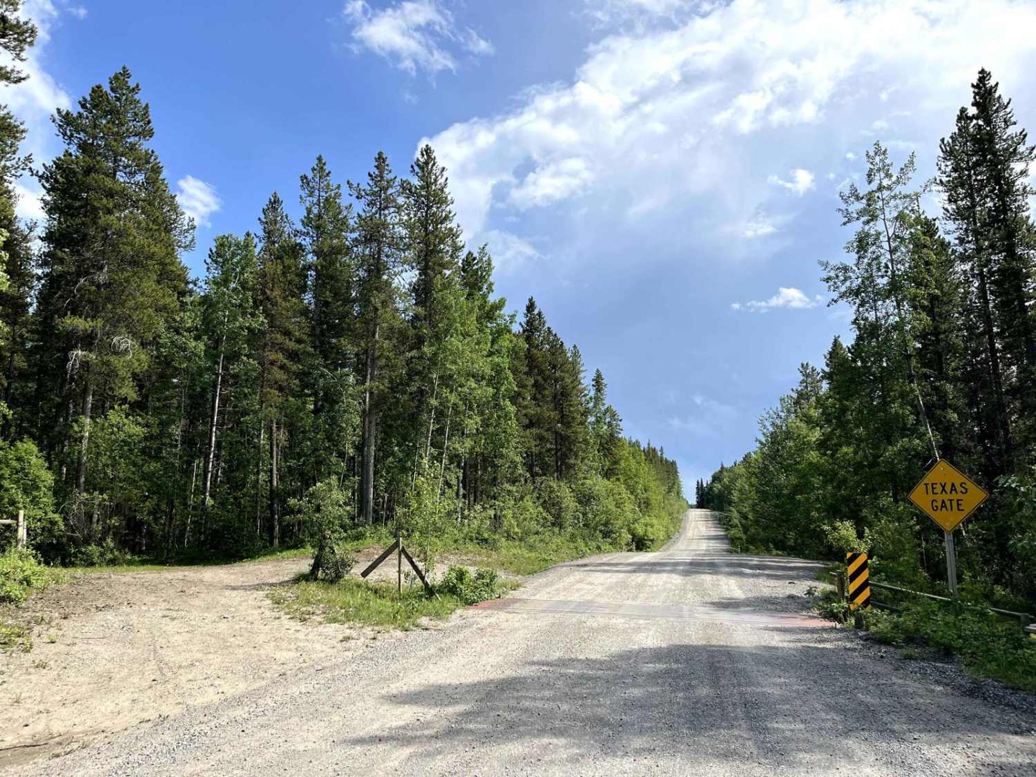 McLean Creek Trail