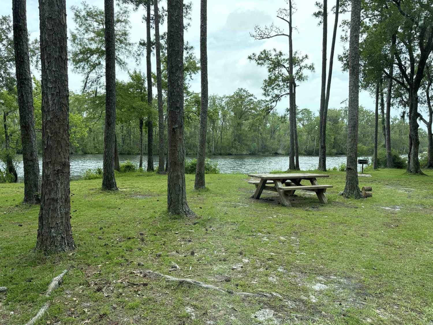 Camp Loop Road