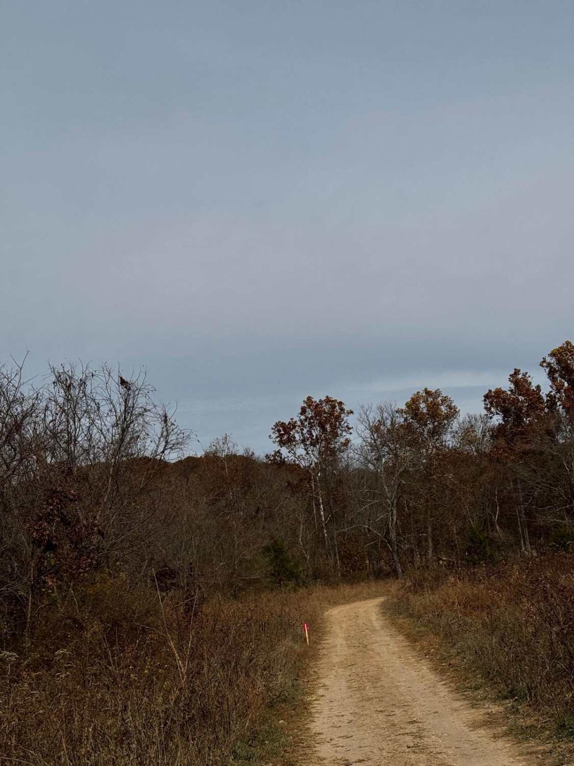Bobcat Lane