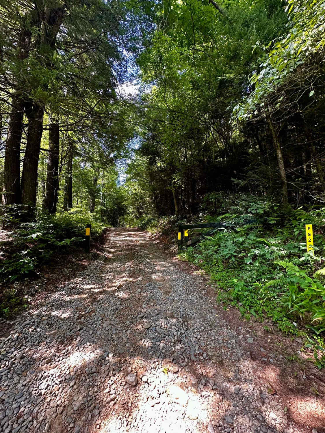 Long Creek Trail