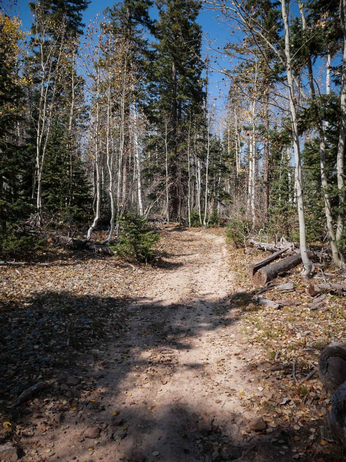Spring Creek Spur B ATV Trail 
