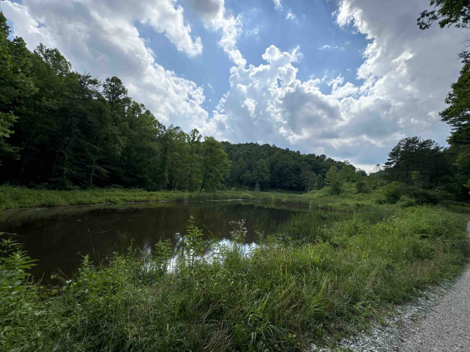 Dry Fork School Road