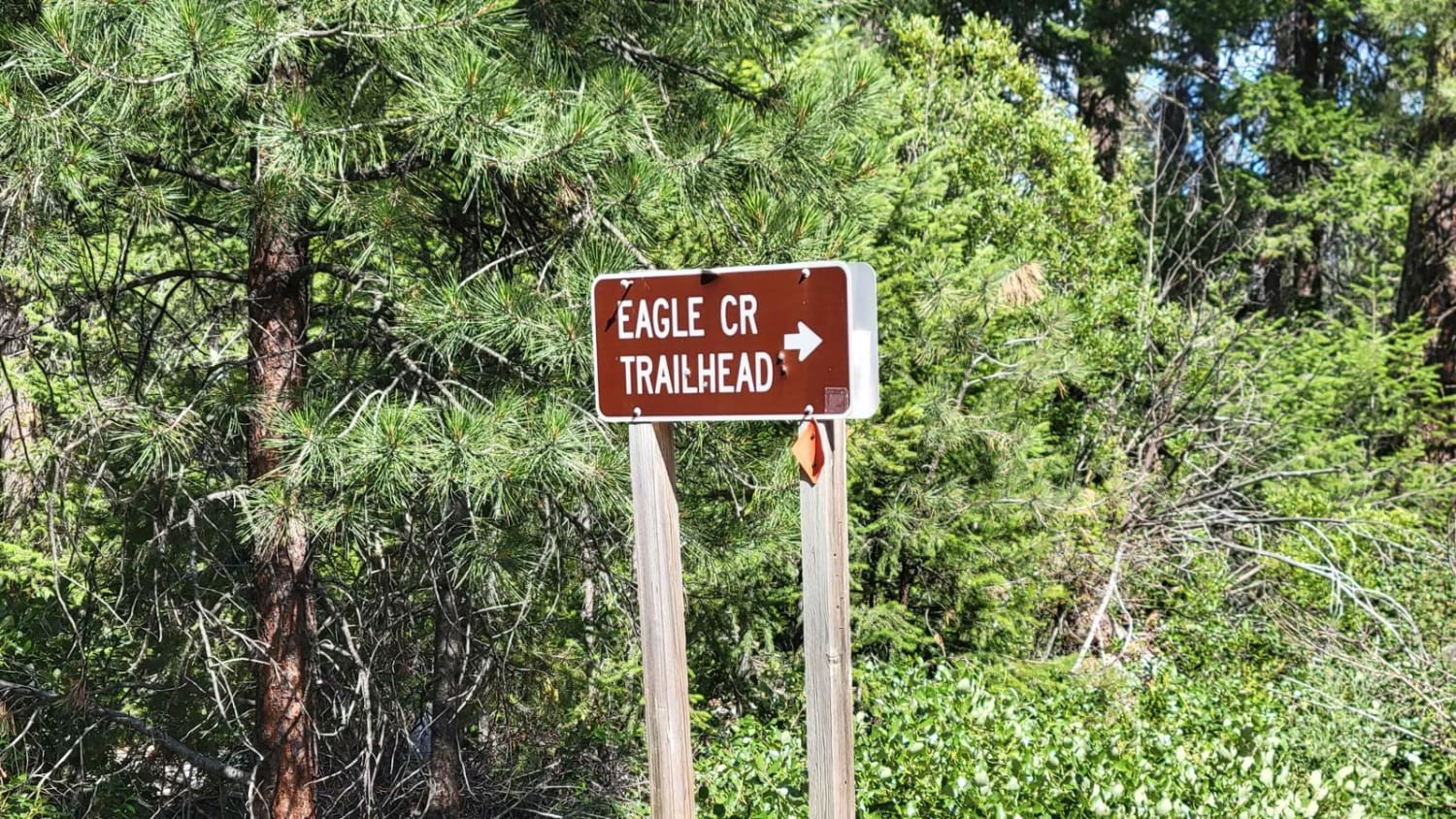 Eagle Creek Trailhead - FR 4420 80