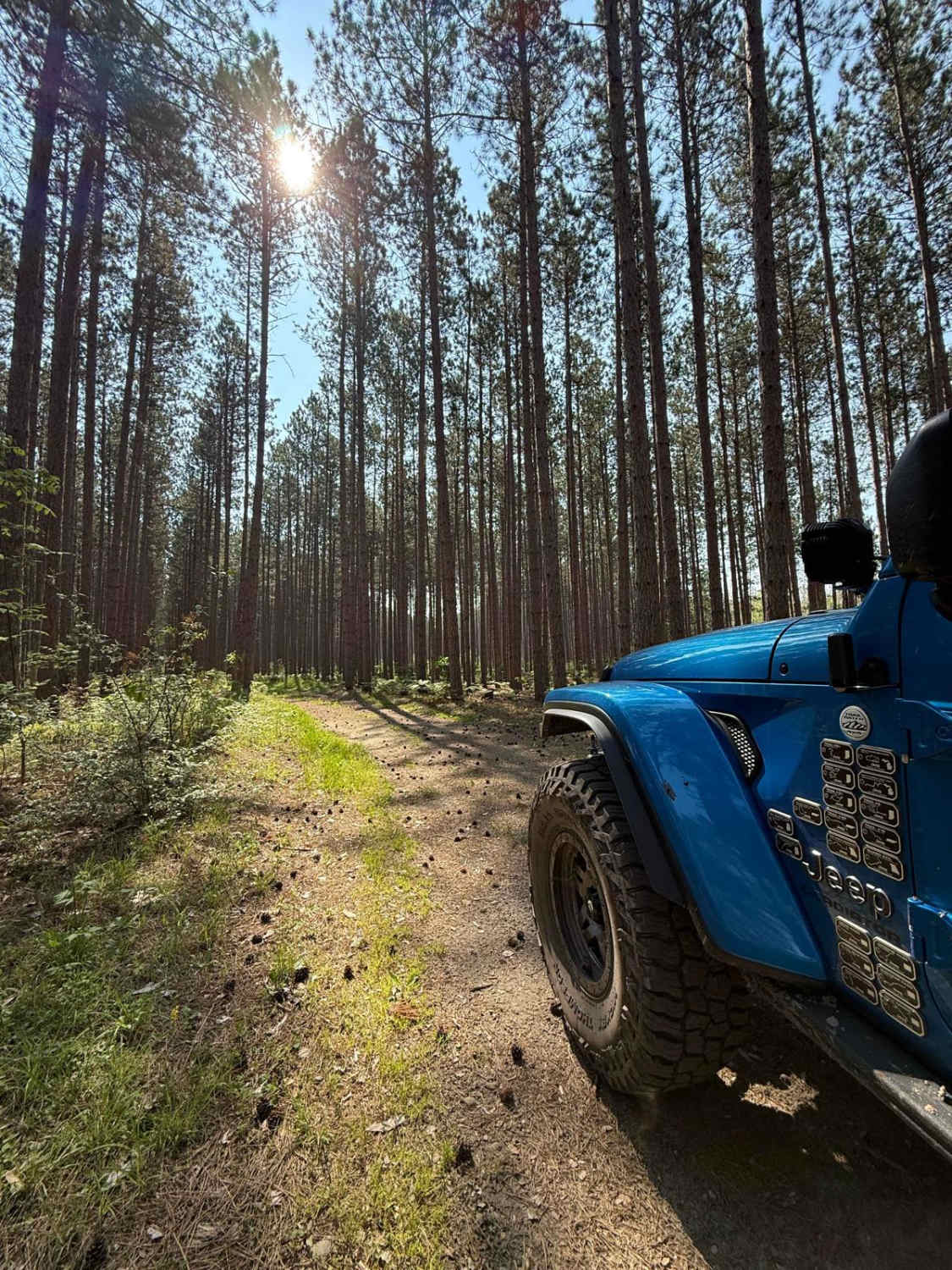 Towering Pines Trail