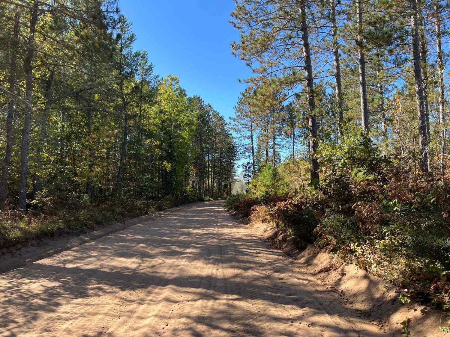 Trail G - Forest Road 208