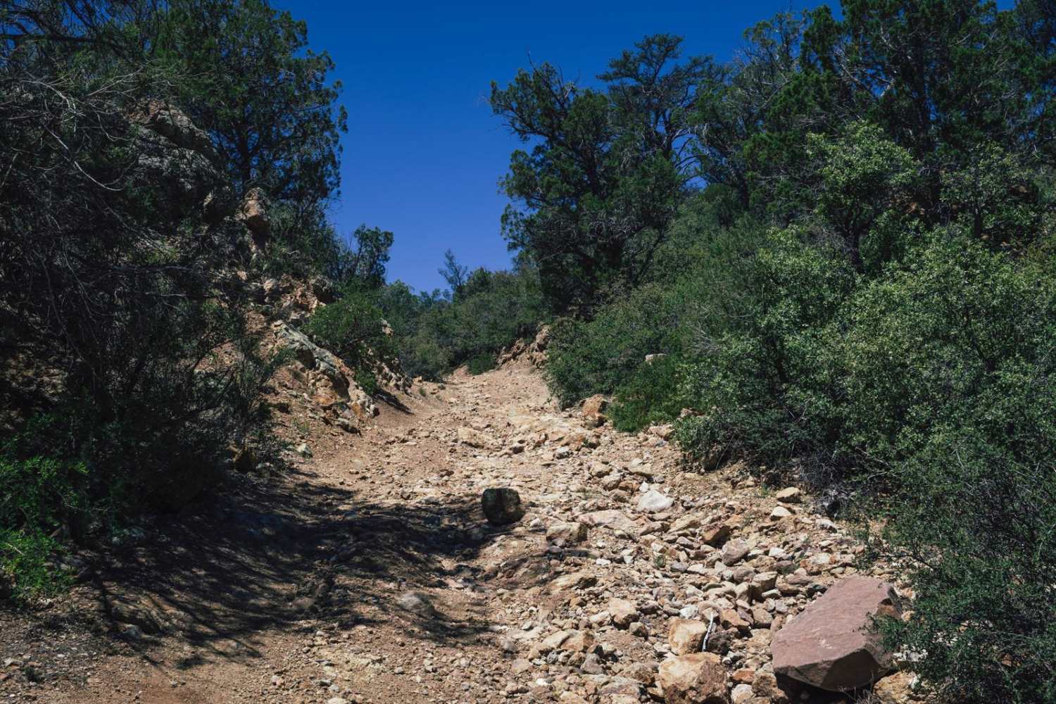 Old Camp Wood Road