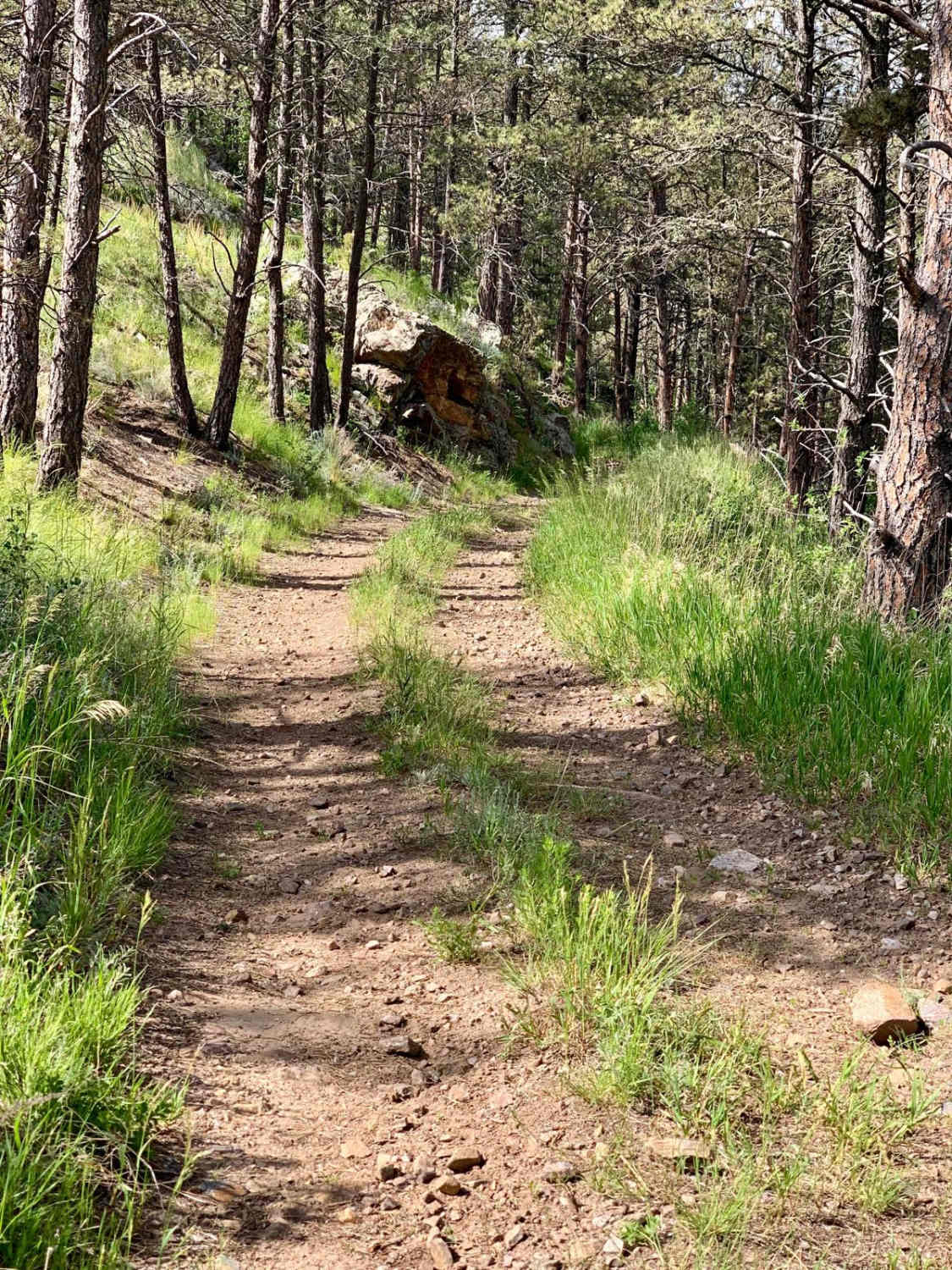 Bowman Road Loop