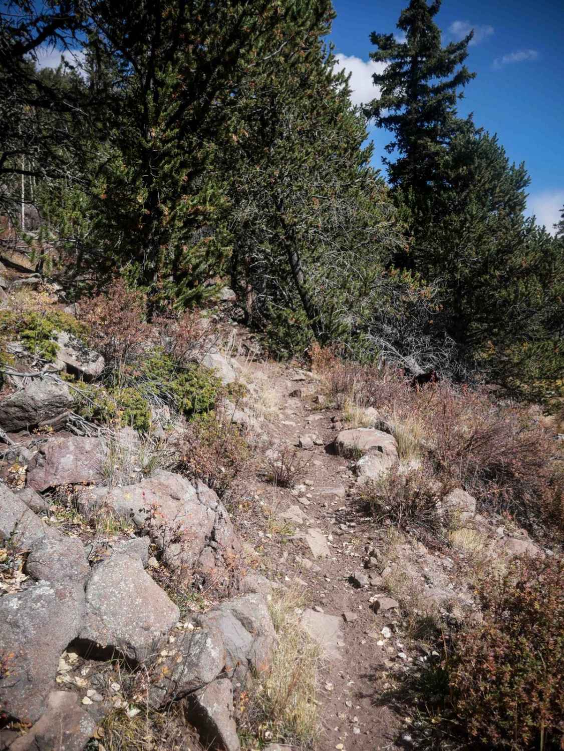 La Garita Creek Single Track 