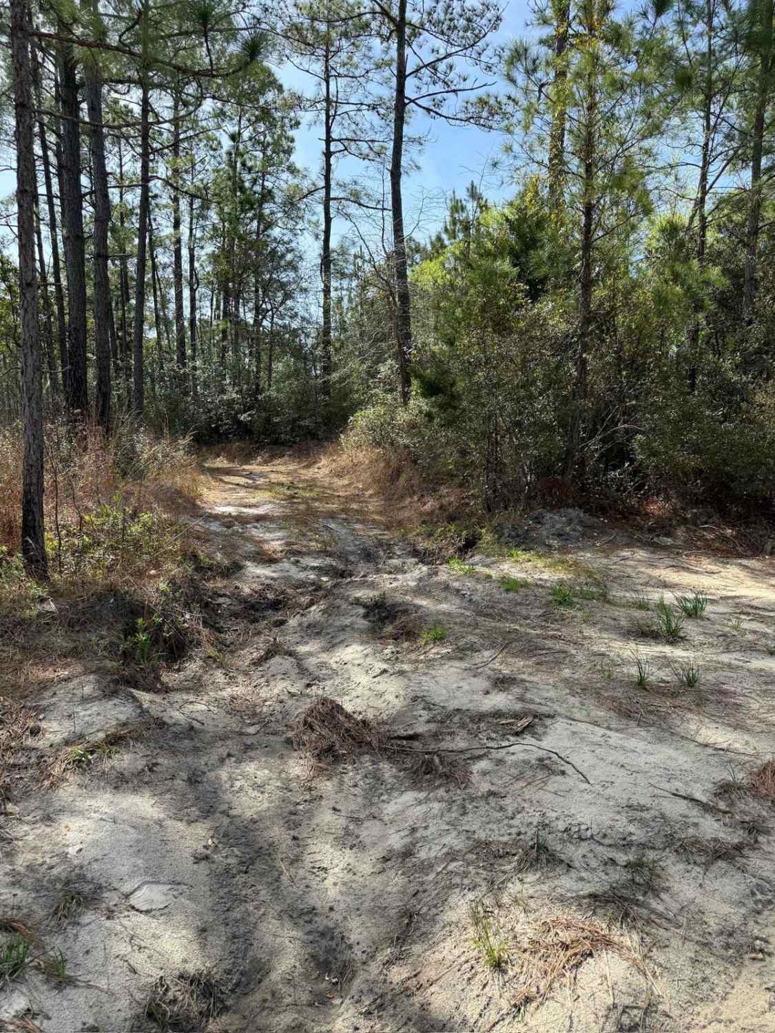 Pettiford Creek Trail 9
