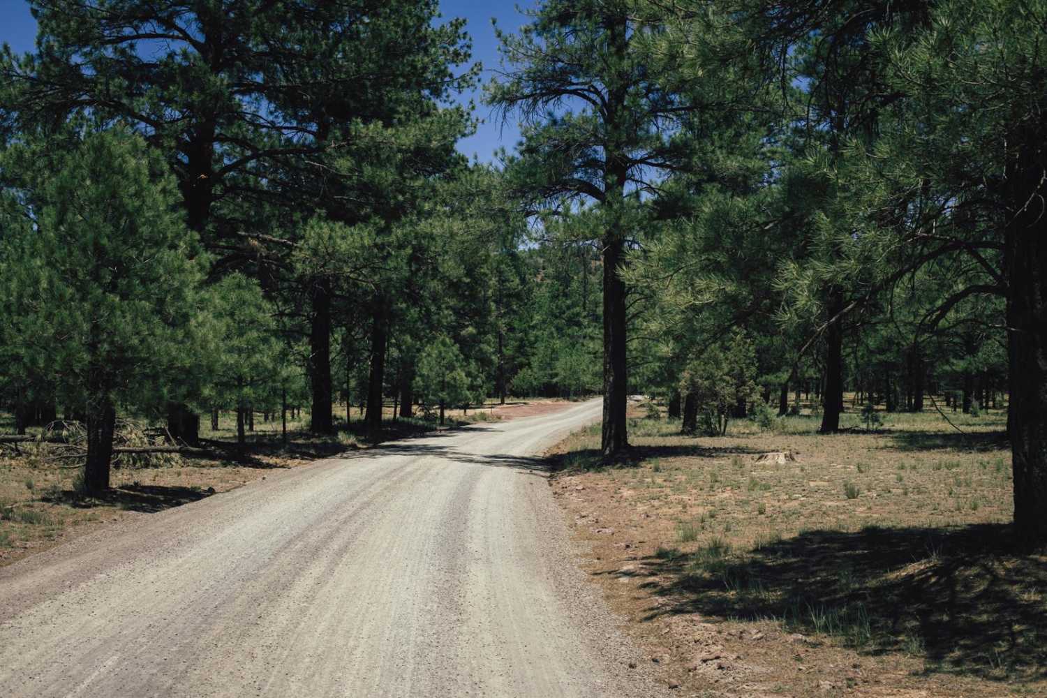 Frenchy Springs Road