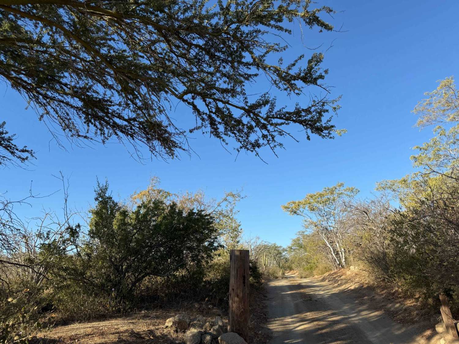 Camino de Lavado Empinado