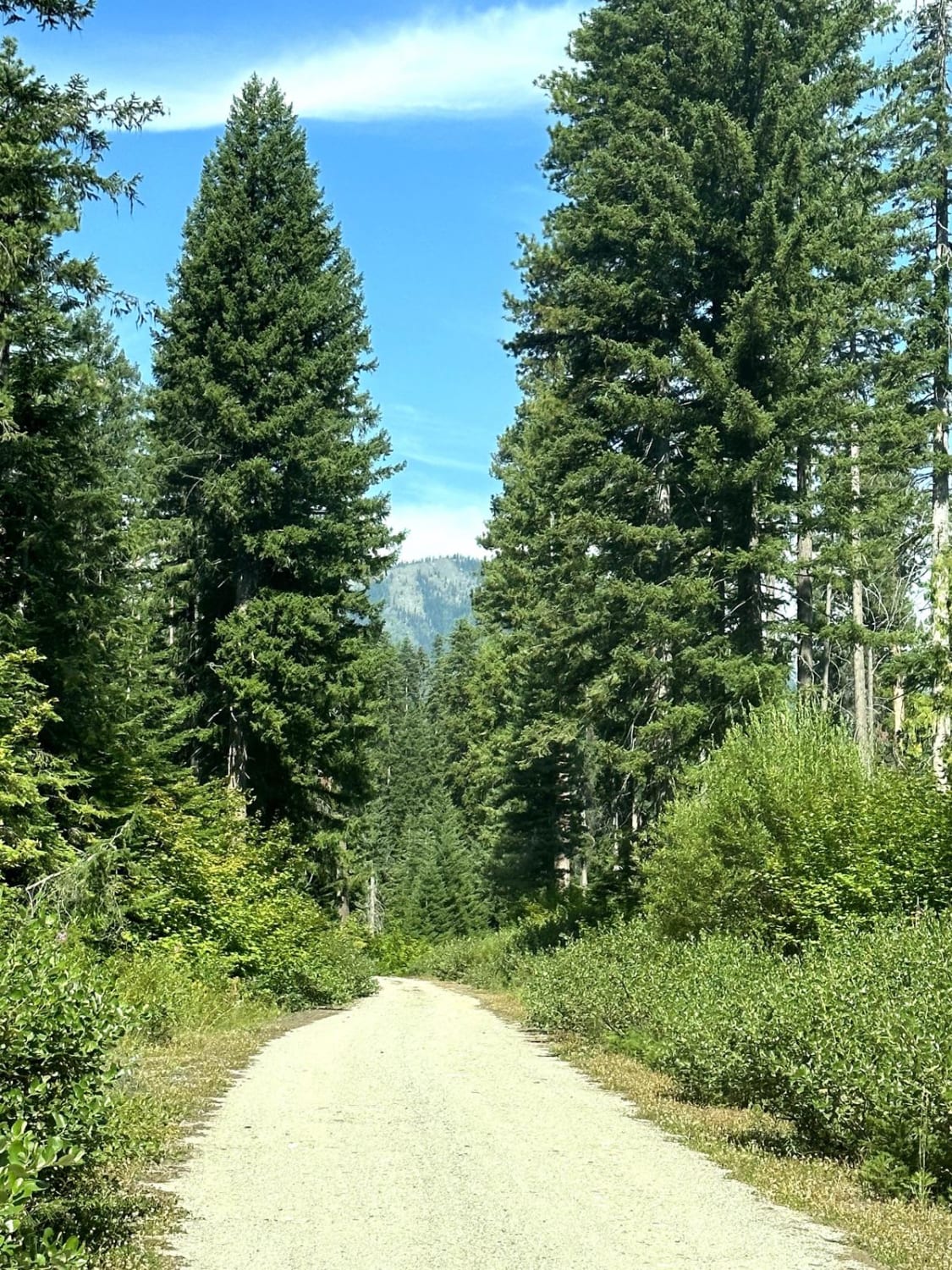 Big Meadow Creek Road