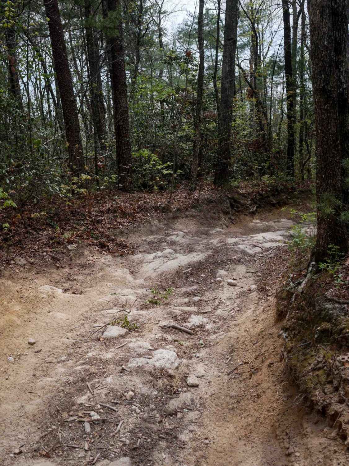Trail 1B 