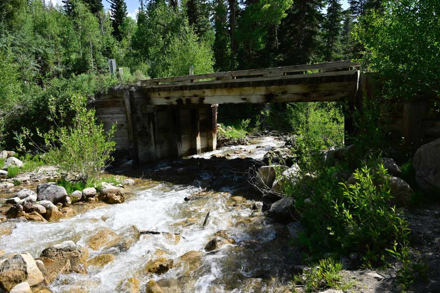 North Fork Manti Canyon - FR50046