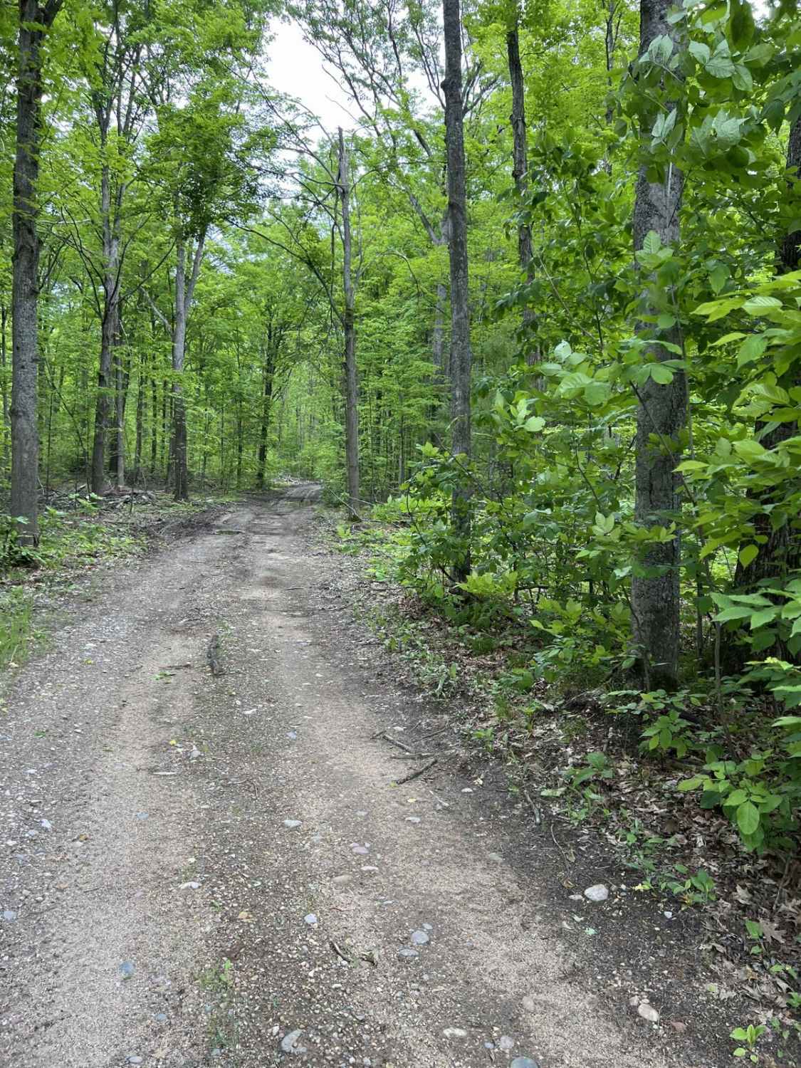 CR 489 to Avery Lake