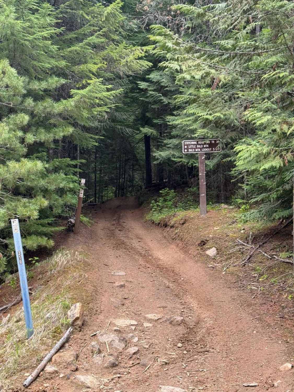 Strychnine Ridge (Trail 319)