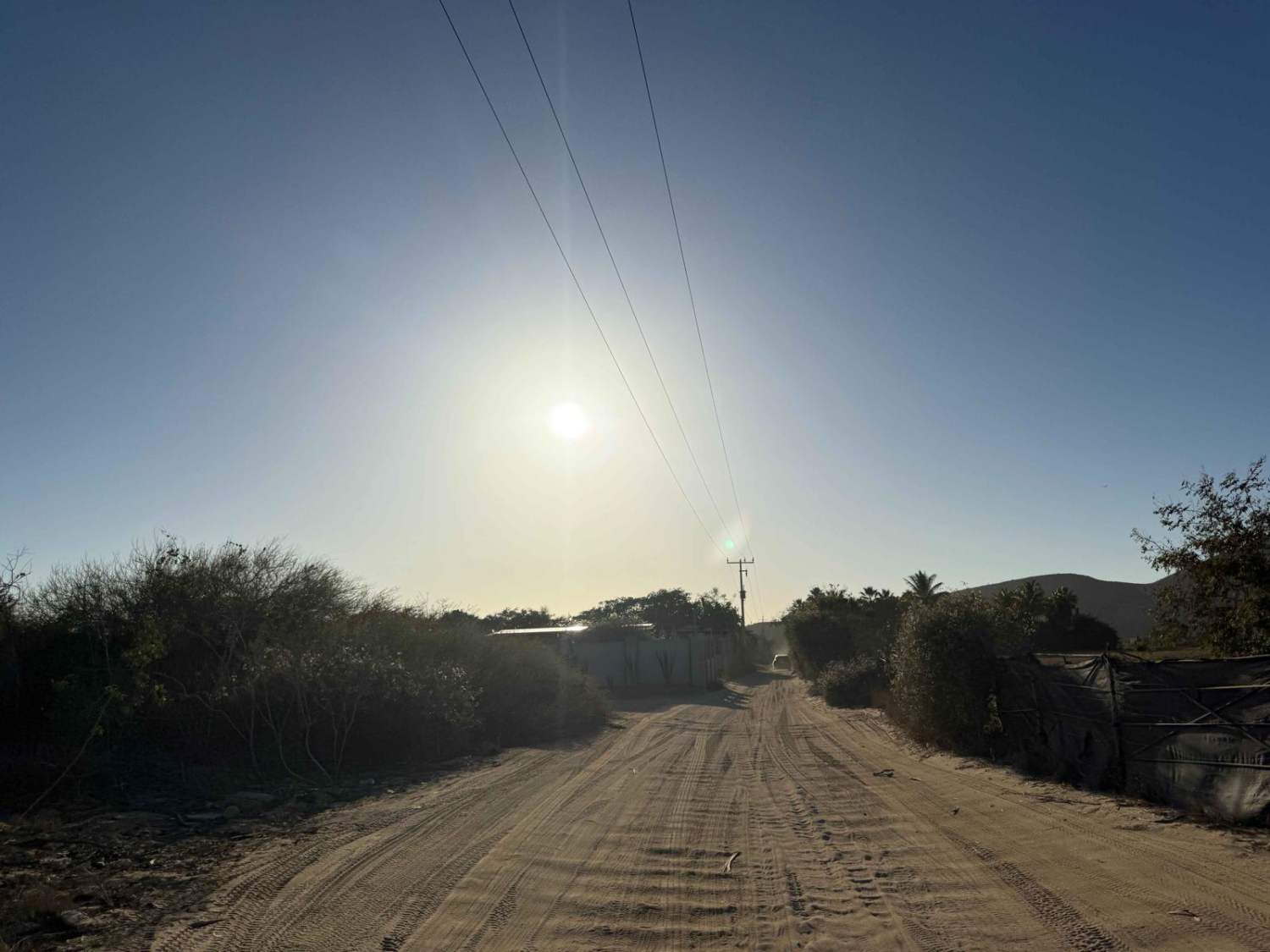 Whale Bone Road 