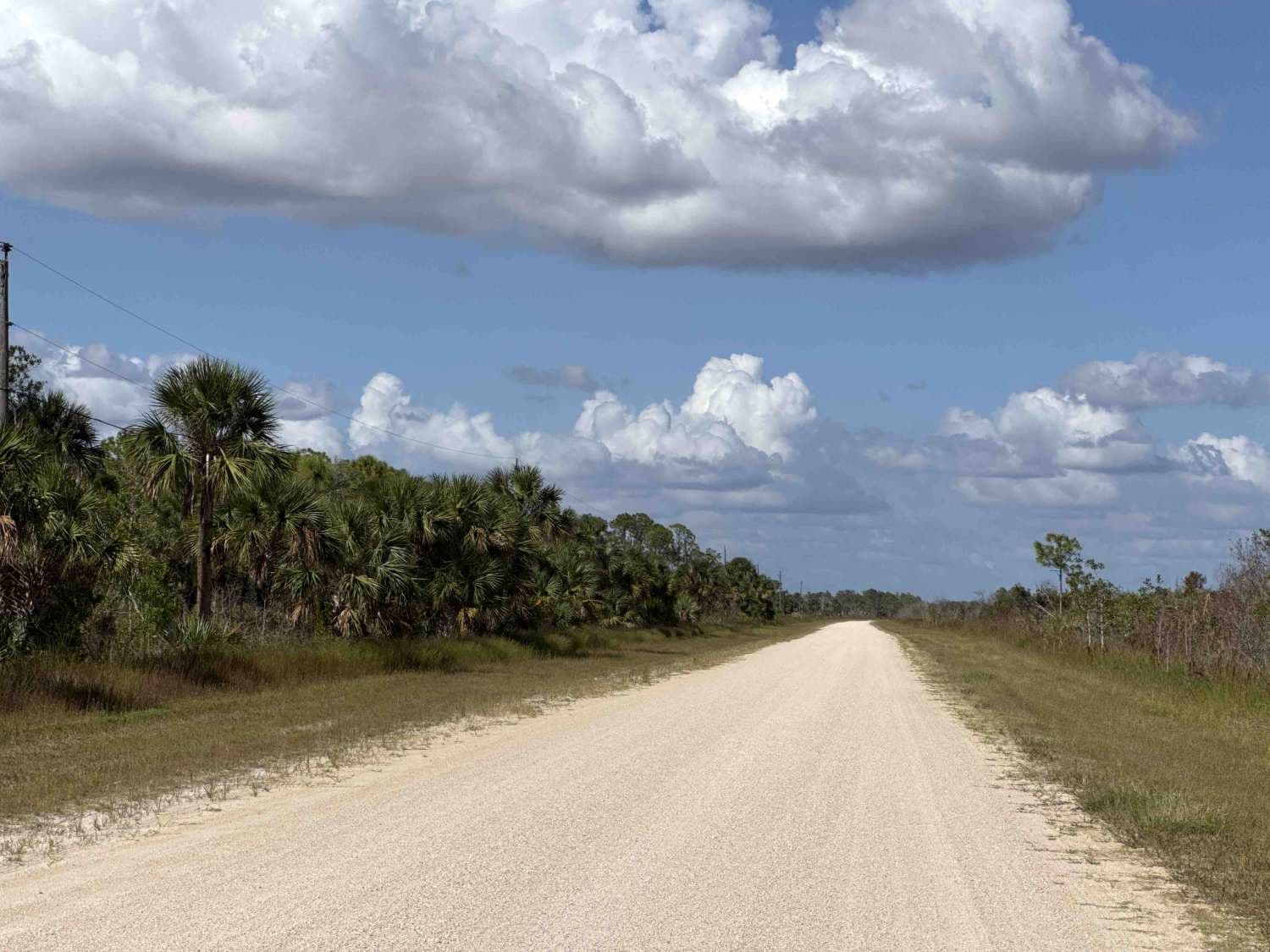 Birdon Road - CR 841