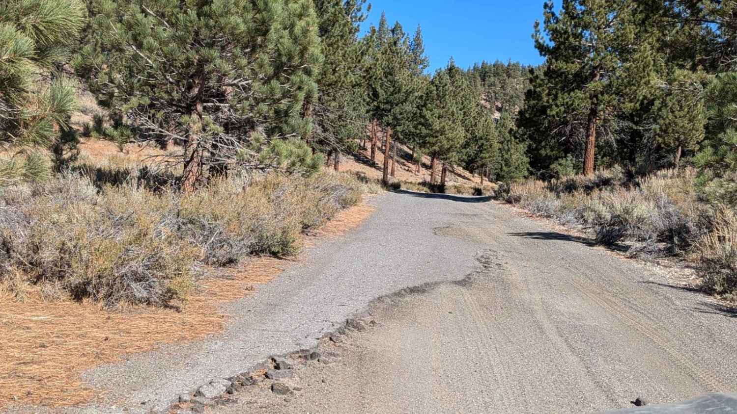 Arcularious Old - FS 2S85