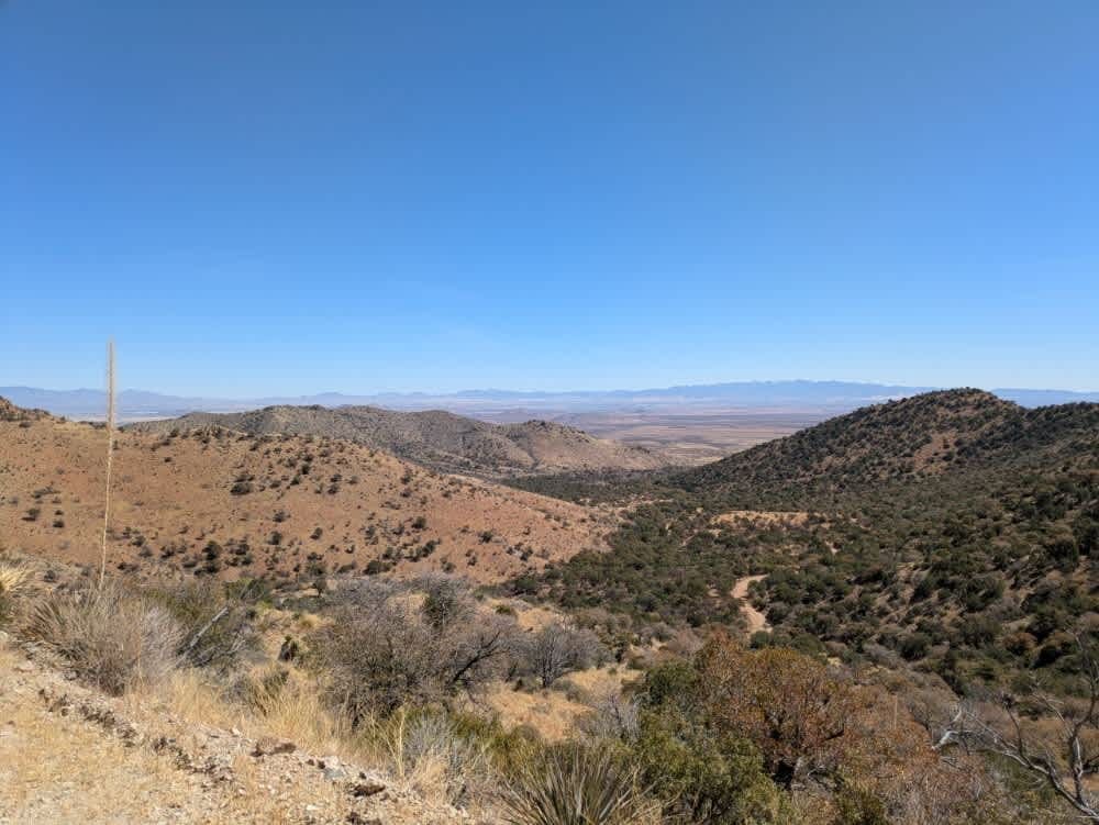 Middlemarch Pass