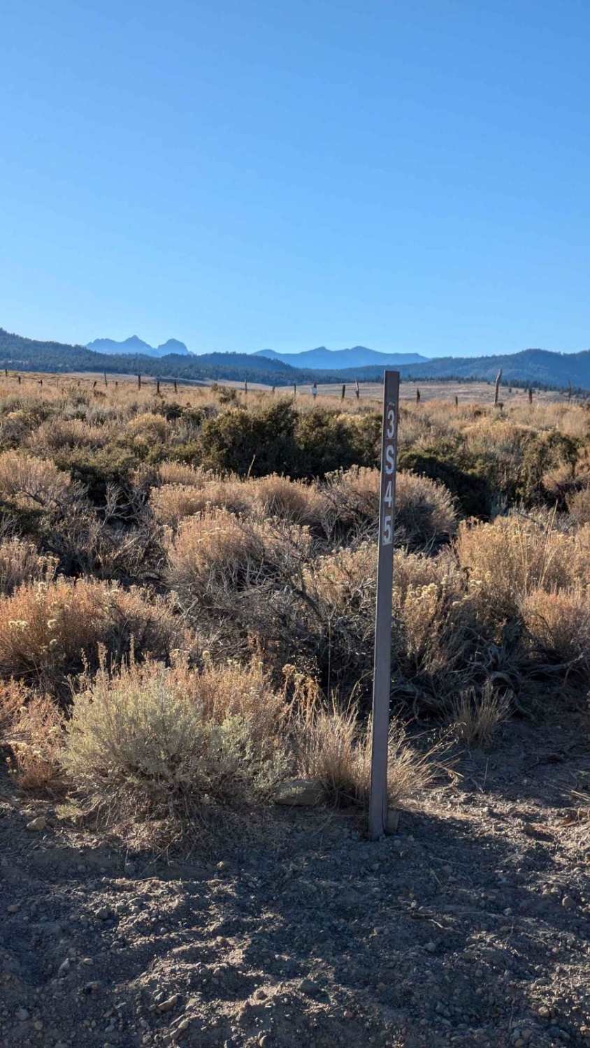 Hot Creek Hatchery Road 