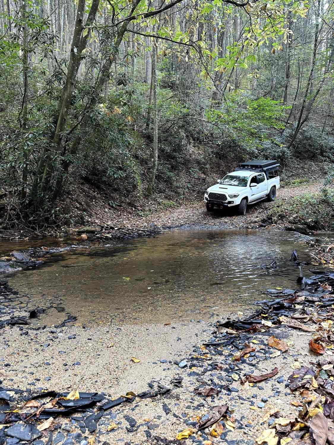 Little Rock Creek - FS 249
