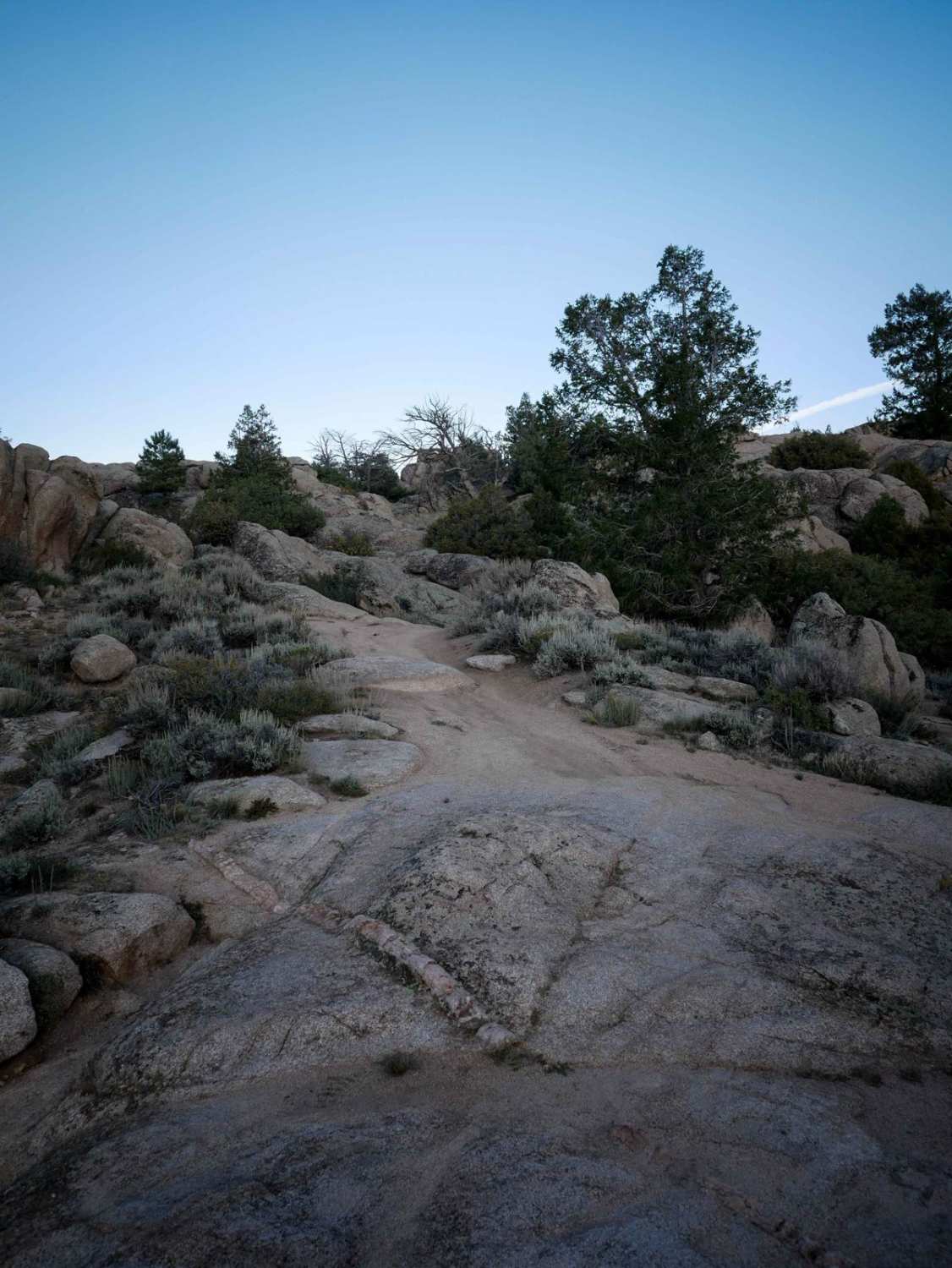 The Notch