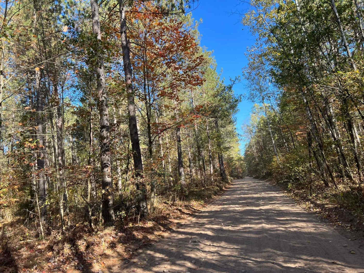 Trail 5- Forest Road 219