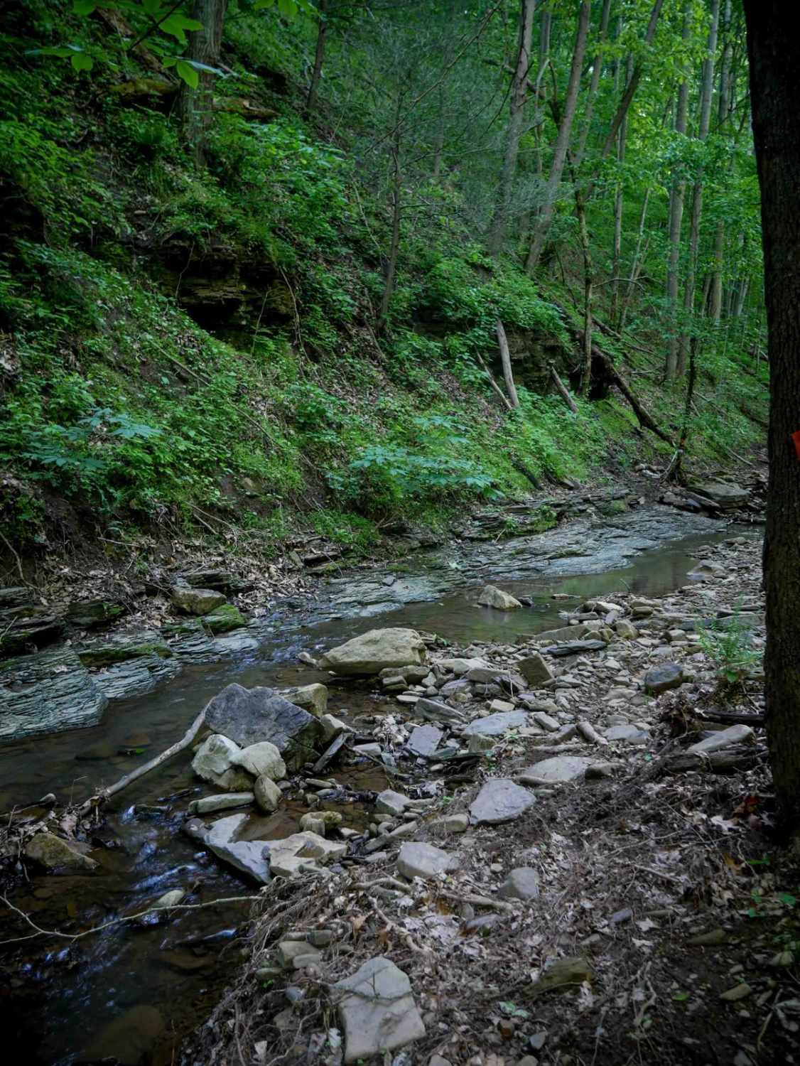 Waterfall Trail