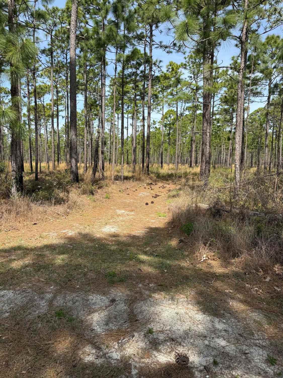 Pettiford Creek Trail 10