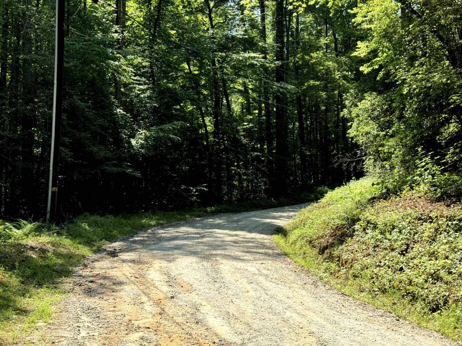 West Seed Lake Road