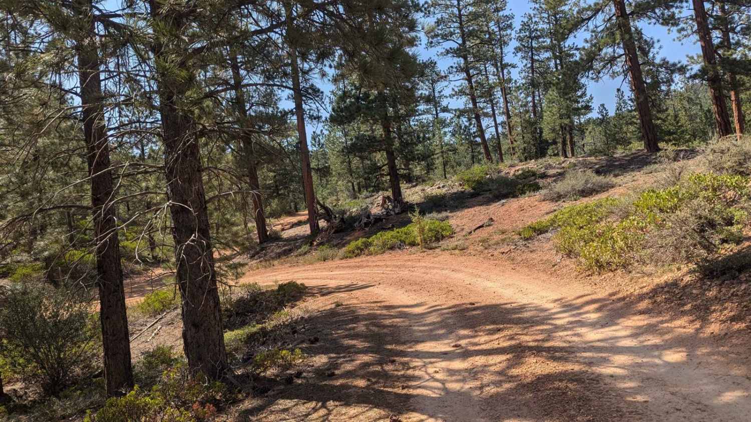 Stout Ridge Point