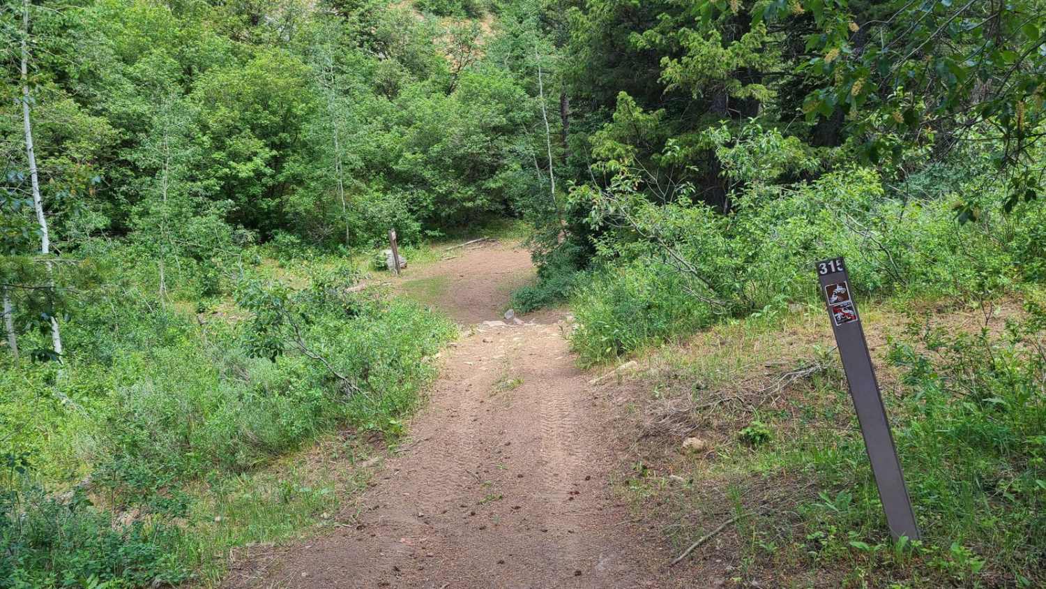 Litz Basin