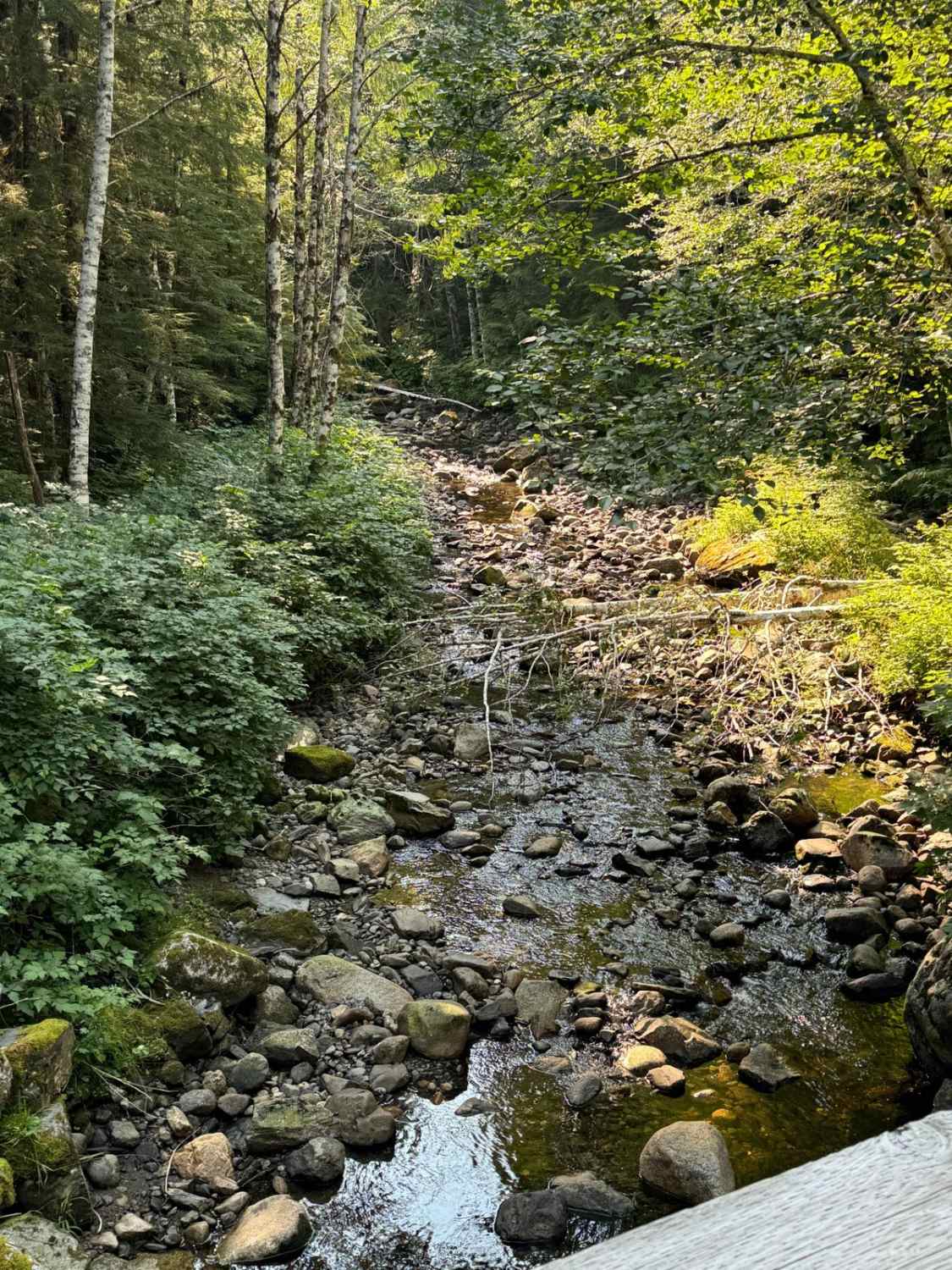 Bear Lake Trail
